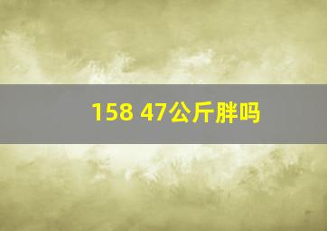 158 47公斤胖吗